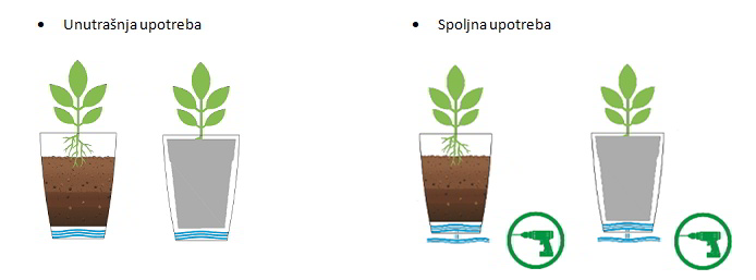 kako saditi zeus gloss